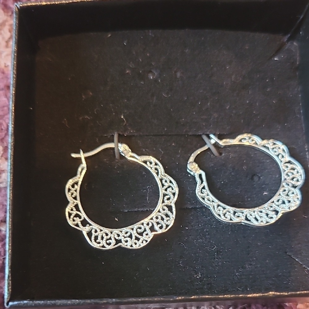 Elegant Silver Hoop Earrings